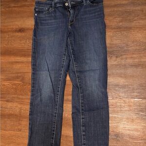 Dark Indigo Skinny Jeans - Women's Slim Fit